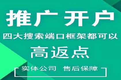 百度SEM代运营案例揭秘，如何实现ROI最大化
